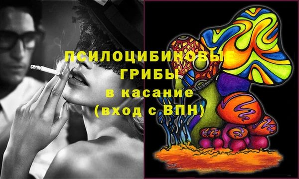 ешки Иннополис