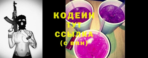 ешки Иннополис
