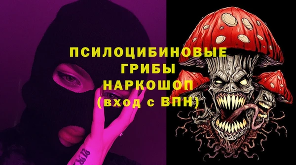 ешки Иннополис